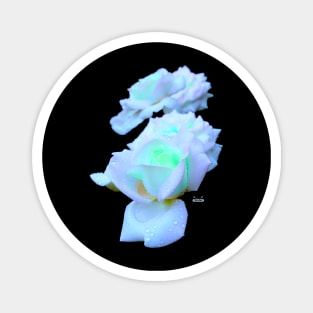 Fluorescent Blue Roses Magnet